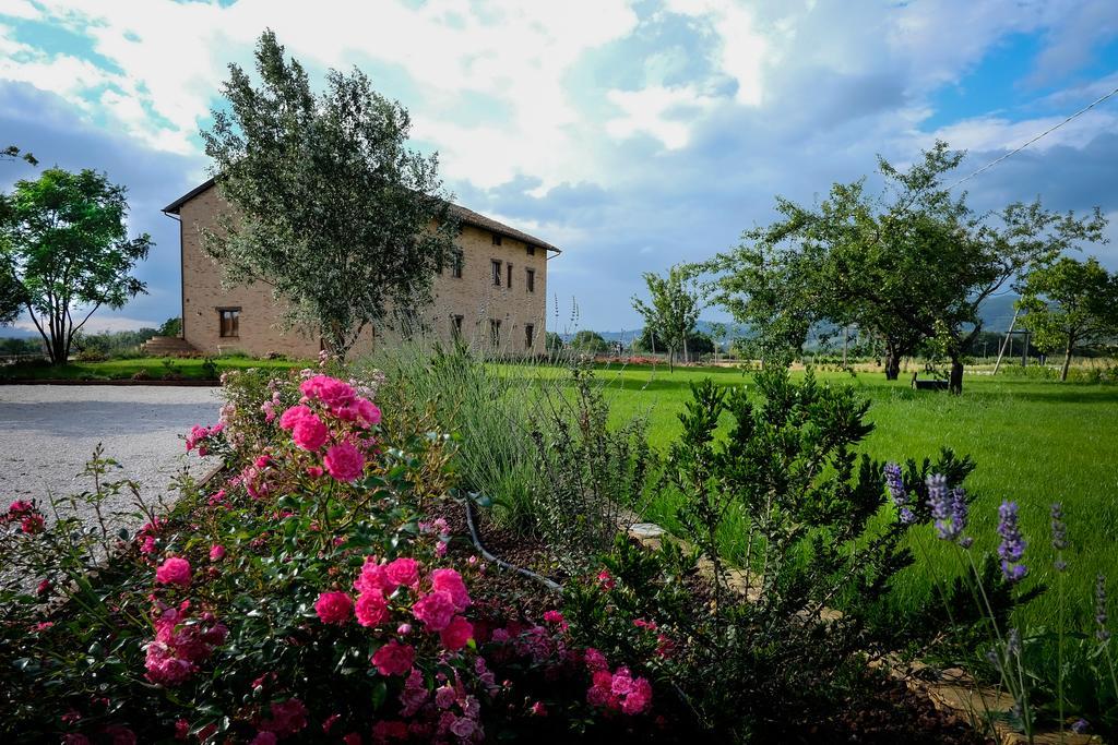 Assisium Agriturismo Exterior photo