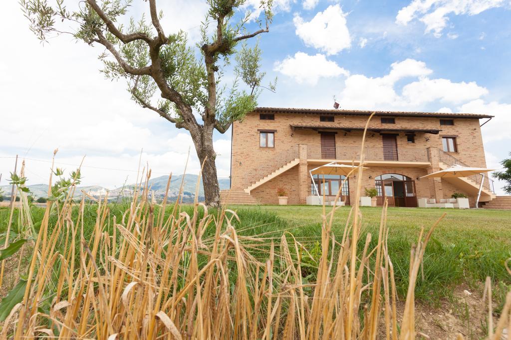 Assisium Agriturismo Exterior photo